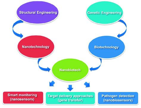 Nanotechnology Applications In Biotechnology