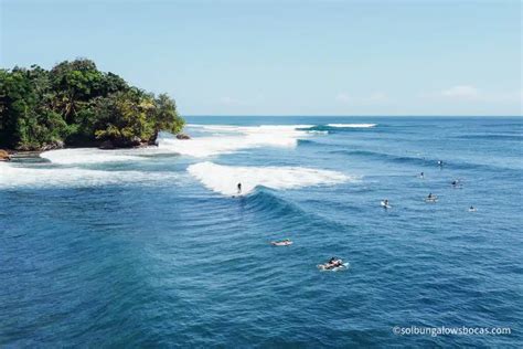 Surfing in Panama: Travel Guide & Best Surf Spots • Sol Bungalows