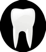 Teeth tooth clipart transparent – Clipartix