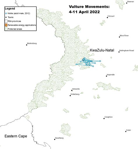 Satellite Tracked Vulture Movements 04 - 11 April 2022 - Project Vulture