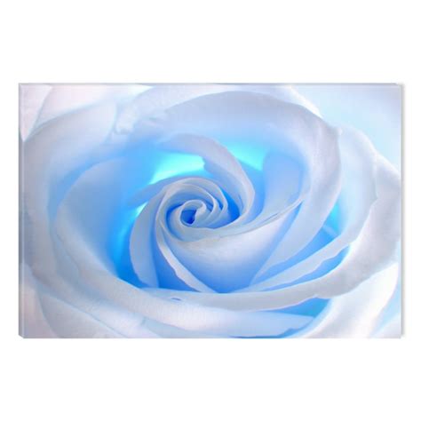 Startonight Canvas Wall Art White Rose Abstract Flower, Dual View Surprise Artwork Modern Framed ...