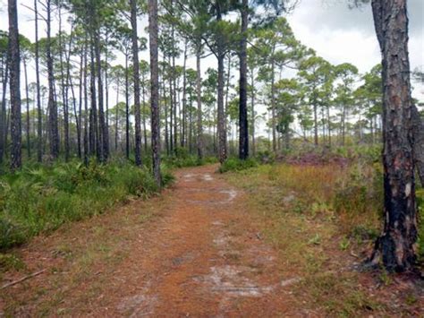 Topsail Hill Preserve State Park, FL. Best With Bikes, See Map.