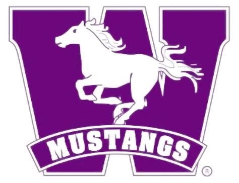 Western Mustangs primed to slay another giant in OUA men's hockey playoffs | London Free Press