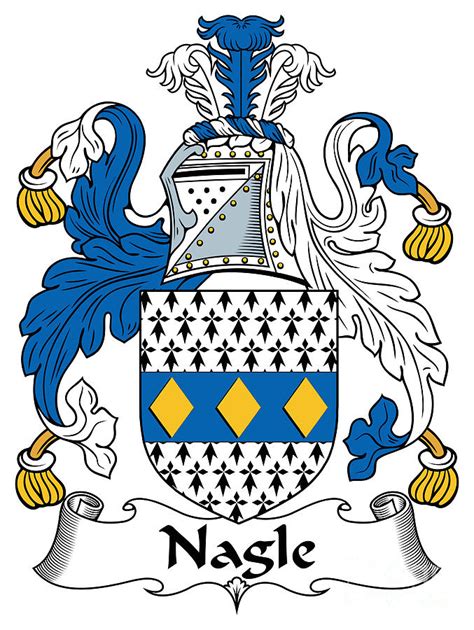 Nagle Coat of Arms Irish Digital Art by Heraldry | Pixels