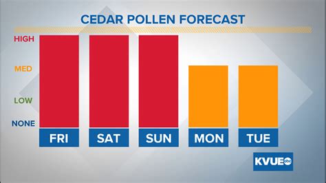 Second highest cedar pollen count of the season recorded in Austin | kvue.com