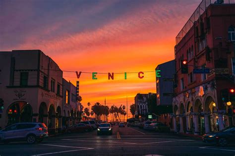 Are Dogs Allowed On The Beach Or Venice Boardwalk