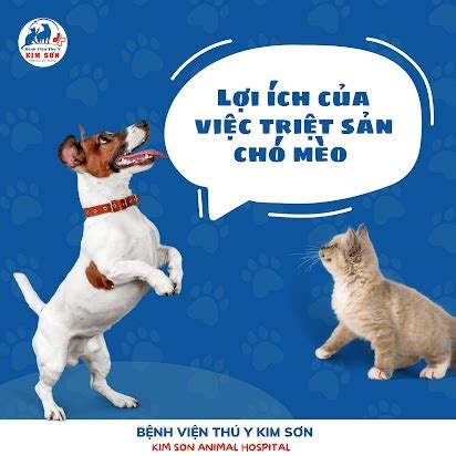 Tổng hợp hình ảnh anh em sống chó vui nhộn và đáng yêu