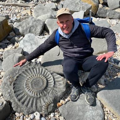 Lyme Regis Fossil Walks - Lyme Regis Fossils For Sale