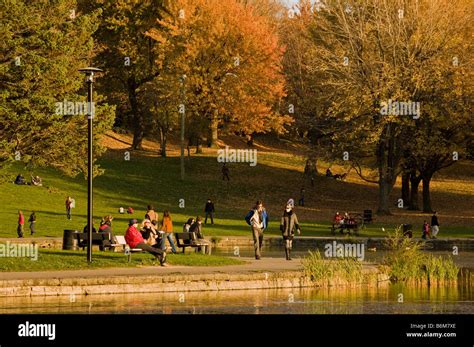 Autumn in Mont Royal Park Montreal quebec Canada Stock Photo - Alamy