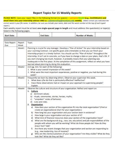 Internship Weekly Report - 5+ Examples, Format, How to Compose, Pdf