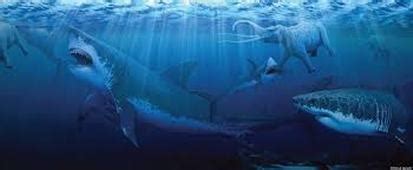 Shark Evolution - Home