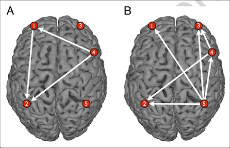 Brain connectivity analysis. Changes of functional connectivity between... | Download Scientific ...