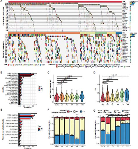 Genomic profiling of primary tumors and metastases . A). Genomic... | Download Scientific Diagram