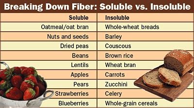 What Causes SIBO? – Fiber – SIBO Testing Vancouver Canada