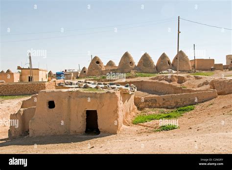 Syria desert Badiyat al Sham, farm sheep,culture, Bedouin Bedouins ...