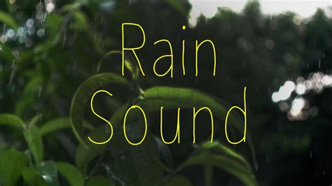 RELAXING music RAIN sound - NATURE sounds - YouTube