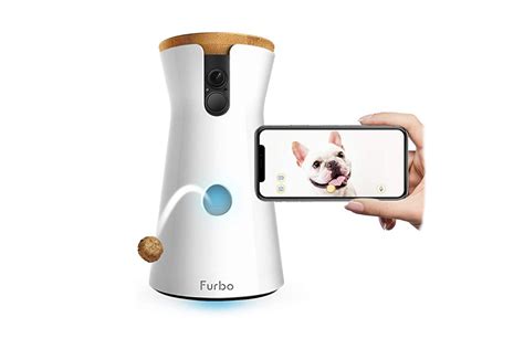 This awesome home pet camera lets you speak to your dog