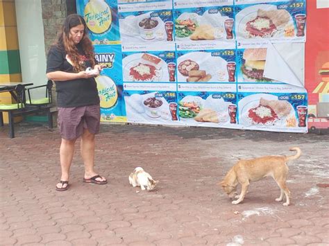 Feeding the Stray - Animal Rescue Ph Program