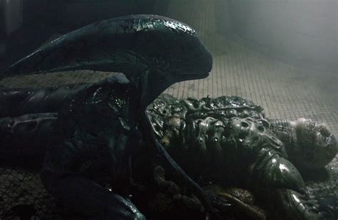 Deacon: Origins And Fate Of The Prometheus Alien | AvP Central