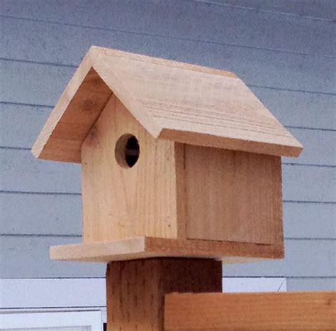 Build a Cedar Birdhouse for $2 | Ana White