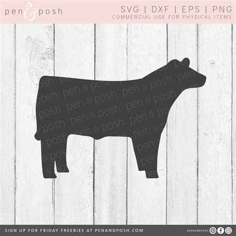 Show Steer SVG Show Cattle SVG Steer Clipart Market | Etsy