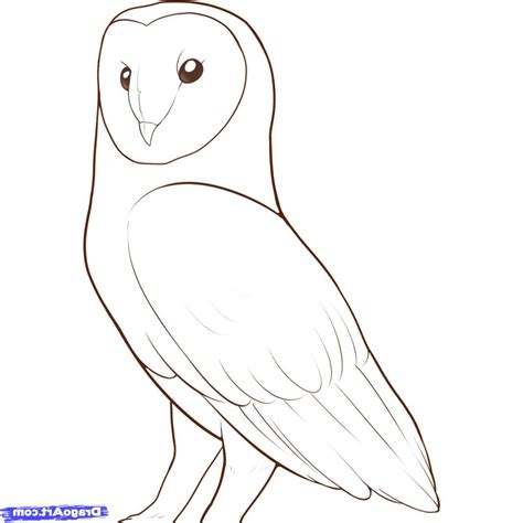 Easy Owl Drawing Step By Step at PaintingValley.com | Explore ...