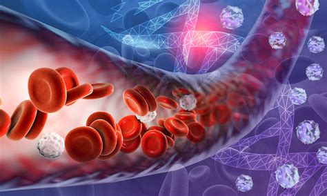 Impact of DNA mutations on blood cell production uncovered | Mirage News