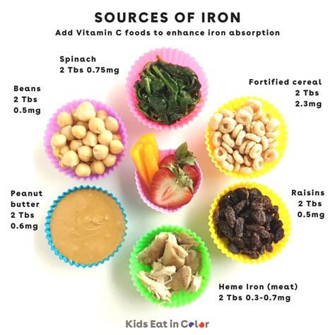 50 Iron-Rich Foods for Babies, Toddlers & Kids - Kids Eat in Color