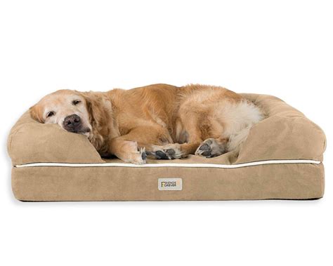 12 Best Orthopedic Dog Beds for Arthritis - Hey, Djangles.