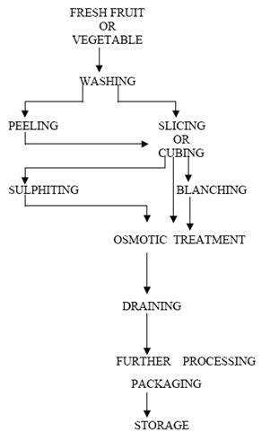 DSE: Lesson.15 Osmotic Dehydration