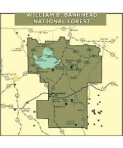 🏞 Bankhead National Forest Map PDF - Free Download (PRINTABLE)