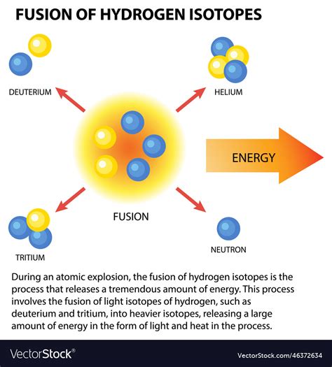 Fusion of hydrogen isotopes Royalty Free Vector Image