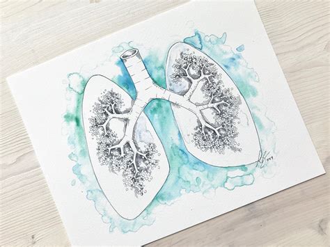 Lungs Anatomy Watercolor Digital Download, Medical Art, Medical Decor ...