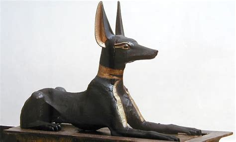 What is the story of the ancient Pharaonic deity Anubis? - EgyptToday