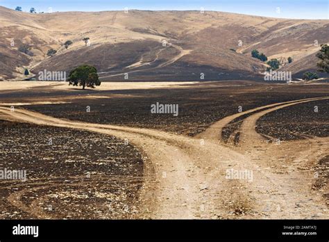 Lexton Australia / Aftermath of bushfires in Lexton Victoria Australia ...