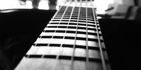 Guitar Frets: What Are They And Why Are They Important? - Learn to Play an Instrument with step ...