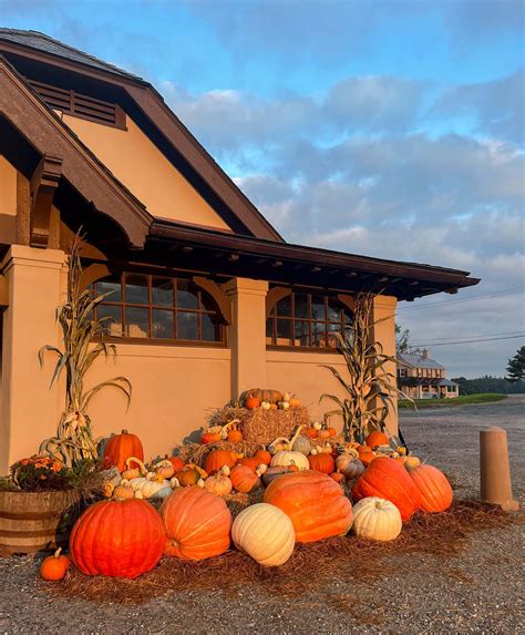 The Pumpkin Patch — High Lawn Farm