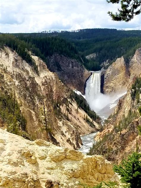 Artist Point Yellowstone Map - Red Carpets