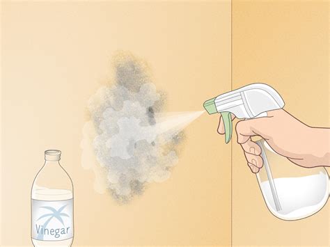 9 Ways to Clean Painted Walls - wikiHow