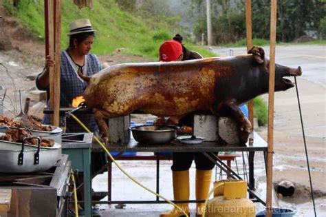 Ecuador Street Food, A Delightful First Experience