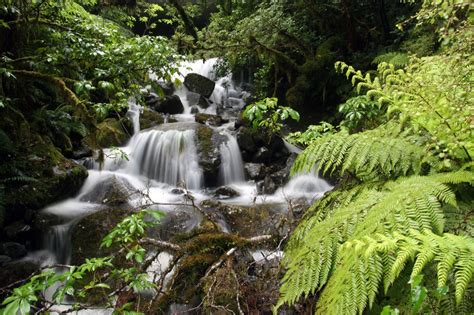 waterfall, the chasm, fiordland national park | this was a n… | Flickr