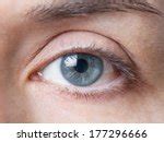Blue Eye Detail Free Stock Photo - Public Domain Pictures