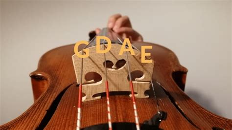 Cello vs Violin: Compare and Decide!