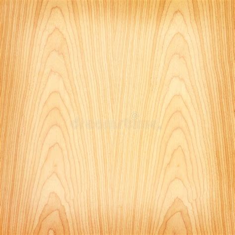33,872 Laminate Floor Background Photos - Free & Royalty-Free Stock Photos from Dreamstime