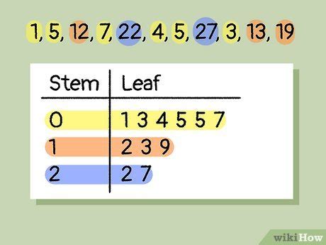 Stem And Leaf Diagram Explained - Infoupdate.org