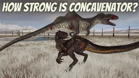 How Strong is Concavenator? - YouTube