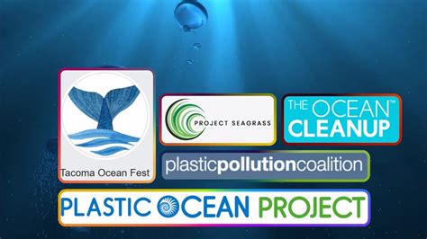 5 Organizations Working To Clean Up The Ocean