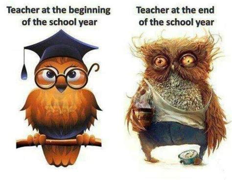 14 End of the Year Memes That Any Teacher Will Understand | Teacher ...