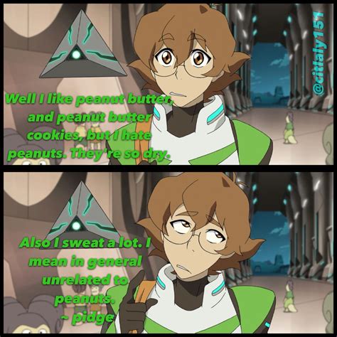 I am pidge in so many ways Edit mine Voltron/pidge not mine | Voltron ...