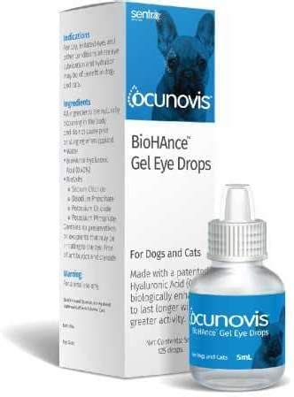 7 Best Eye Drops for Dogs with Allergies